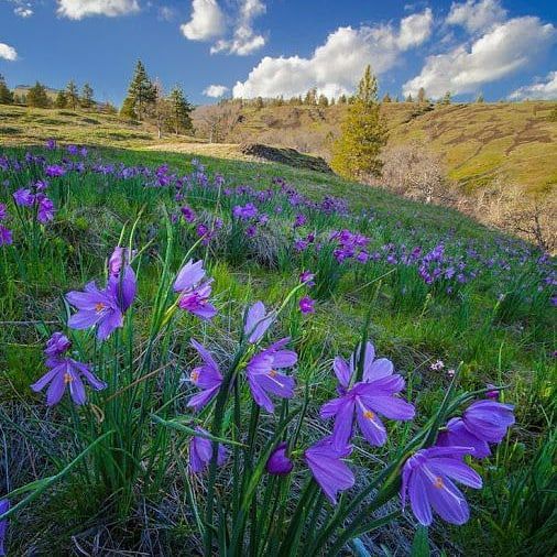 یه روزگاری یه خطایی کردم